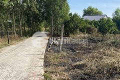 Đất mặt tiền phường minh hưng ngang 7x40m, 50m2 thổ cư, sổ sẵn, 500tr