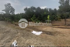 Chủ gửi lô đất nông nghiệp tại xã long hoà, cần giờ