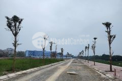 Bán đất đấu giá tam hiệp, lô mặt đường 92m2 mt 7m 6.x tỷ