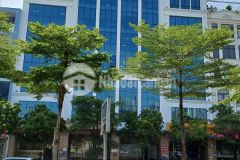 Bán tòa nhà văn phòng 9 tầng mặt phố trần vỹ dt 140m2. giá 62 tỷ