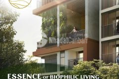 Tái định nghĩa không gian sống với thiết kế bilophilic