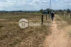 Bán 1441m2 đất vườn hồng liêm đường ô tô tận nơi, cách ql1a 700m giá 324tr lh 0385230667 xem sổ