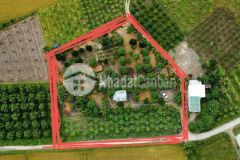 Siêu phẩm nhà vườn 2 mặt tiền chiều ngang 78m cách tt tp nha trang 13km