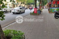 Cực hot nhà mặt phố nguyễn thái học. diện tích 3439t2 5 tầng 4.1m mặt tiền, giá 20.2 tỷ