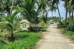 Nền thổ cư tài văn trần đề giá chỉ 1xx