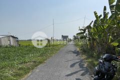 Bán 27x58 đất vườn, mặt tiền nhựa gần ngã tư bình ân,gò công đông, tiền giang