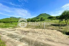Đất ngang 20m ngay giáo xứ diên tân hương lộ 62