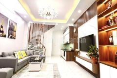 Bán nhà xuân la, phân lô, nội thất 5 sao, ôtô cách vài bước chân. dt 40m2, chỉ 5.75tỷ.