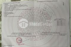 Bán đất lý nhơn, an thới đông, cần giờ 20 x 50 1.000m2, giá 1,05tỷ.