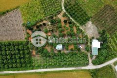 Chỉ 2.5triệum2 đất phù hợp làm nhà vườn cách tt nha trang 13km