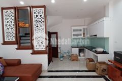 Dẫy shophouse trần cung siêu vip giá dưới 5 tỷ