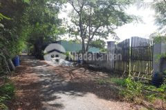 Đất đang làm vườn tại xã long hoà,cần giờ giá rẻ có thổ cư