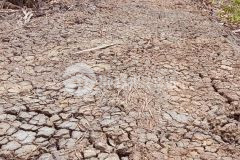 Bán mảnh đất vuông đẹp ở nhà bè.