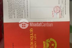 Bán đất nuôi trồng thuỷ sản giá rẻ tại xã bình khánh, cần giờ