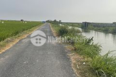 300tr 1000m2 đất mặt tiền đường nhựa tại tân điền, gò công đông, tiền giang