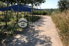 Nhánh quốc lộ 14, cách quốc lộ 14 chỉ 500m, nha bích, chơn thành.