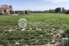 450 m2 có 200m2 thổ cư, tx.lagi, bình thuận chỉ 1 tỉ 5xy triệu.