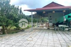 Chính chủ cần bán 3000m2 vườn trái cây giá 250 triệu