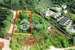 Tậu ngay lô đất 2 mặt tiền đường nhựa phường 7 view cực thoáng