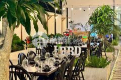 Sang nhượng full toàn bộ đường trương công định đã setup sẵn vào là làm ngay