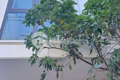 Nhà đẹp bát khối, long biên, lô góc, 2 mặt thoáng, gara, nhỉnh 6 tỷ