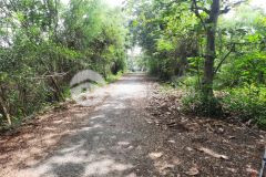 Chỉ 3tr5 có thể mua mỗi m2 thổ cư tại xã long hoà, huyện cần giờ