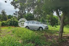 12.572m2 đất vườn có 300m2 thổ cửa đông sân bay quốc tế long thành thừa đức, cẩm mỹ đồng nai