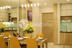 Chung cư mới sát thành phố hồ chí minh