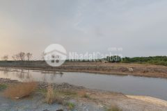 Đất gần biển huyện cần giờ giá chỉ 3trm2