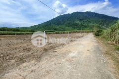 Bán đất vườn khánh nam giá rẻ phù hợp thổ cư gần tỉnh lộ 8b