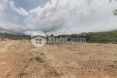 Chính chủ cần bán lô đất vườn huyện cần giờ, xã long hoà diện tích gần 4,000m2