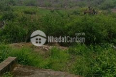 Cần bán 6000m2 tại lý nhơn cần giờ tphcm