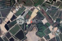 Bán đất nông nghiệp gần đường bà xán, xã bình khánh, cần giờ