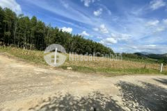 Bán đất vườn diên tân giá rẻ sát bên hương lộ 62