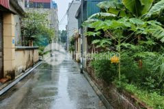 Đât giang biên ô tô tránh đường nhựa phân lô ô bàn cờ thông kẻ tạnh