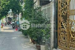 6.5 tỷ hàng hiếmmm hẻm xe hơi 5m 10.. hoàng hoa thám, phường 7, bình thạnh.