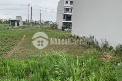 Chính chủ bán gấp đất 72m2 tđc tân quán, tân bình, tp thái bình