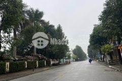 Bán đất mặt phố hải đông, ph lê thanh nghị, tp hd, 70m2, mt 4.5m, vỉa hè 5m, vị trí rất đẹp