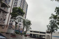 Cho thuê chung cư thuận thành bắc ninh