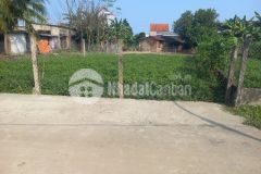 Bán lô đẹp hòa phước, hòa vang, đà nẵng 143m2 đường ô tô chỉ nhỉnh 1 tỷ chút xíu