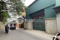 Bán đất mặt phố cầu cốc tây mỗ, cạnh vinsmart, dt 120m2, mt 8.7m, kd đỉnh, chỉ 13.5 tỷ