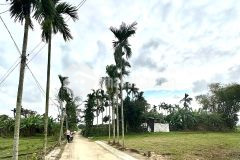 Cần bán 175m2 điện hồng điện bàn giá 536 triệu