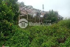 Nhanh tay tậu ngay lô đất bằng có view phường 5