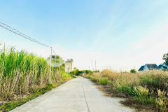 Bán miếng đất 295 triệu 505m2 ngay chợ minh hưng chơn thành, cách quốc lộ 13 chỉ 500m