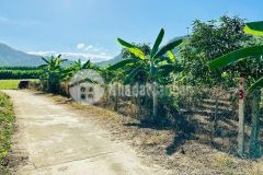 Bán vườn cây trái diên tân giá rẻ gần hồ cây sung