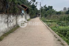 Băc câu ngoc thuy thưa đất thoáng mát vuông đẹp xung quanh toàn cây ăn quả ô tô vào đất.