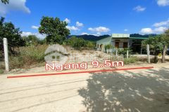 Bán đất khánh phú full thổ cư tặng thêm vườn bưởi đã cho quả