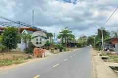 Bán lô đất mặt tiền tl2 sông cầu. gần ủy ban, trường học, chợ sông cầu.