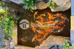 Nhà pl víp 105 xuân la, 57m2, 6 tầng thang máy, tặng nội thất 5 sao, 16,5 tỷ ảnh thật