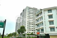 Bán 2 lô đất mặt đường đôi 17.5m kdc trần hưng đạo, tp hd, 113.5m2 và 78.75m, vỉa hè 5m cực rộng